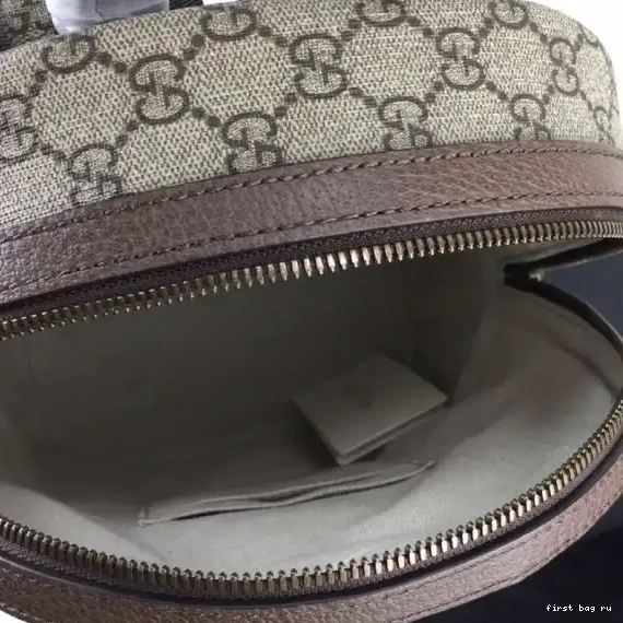 Ophidia backpack GG small Gucci 0518
